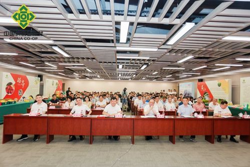 攜手合作，共創繁榮 2024年海南農副產品（孝感）產銷對接暨瓊鄂文化交流推介活動成功舉辦